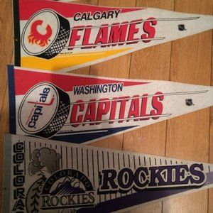 NHL pennants $25